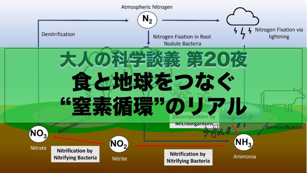 高校の理科・社会で学ぶ内容をベースに、【窒素循環】について理解していきます。